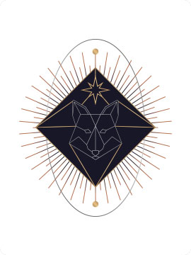 Tarot Reading consultation